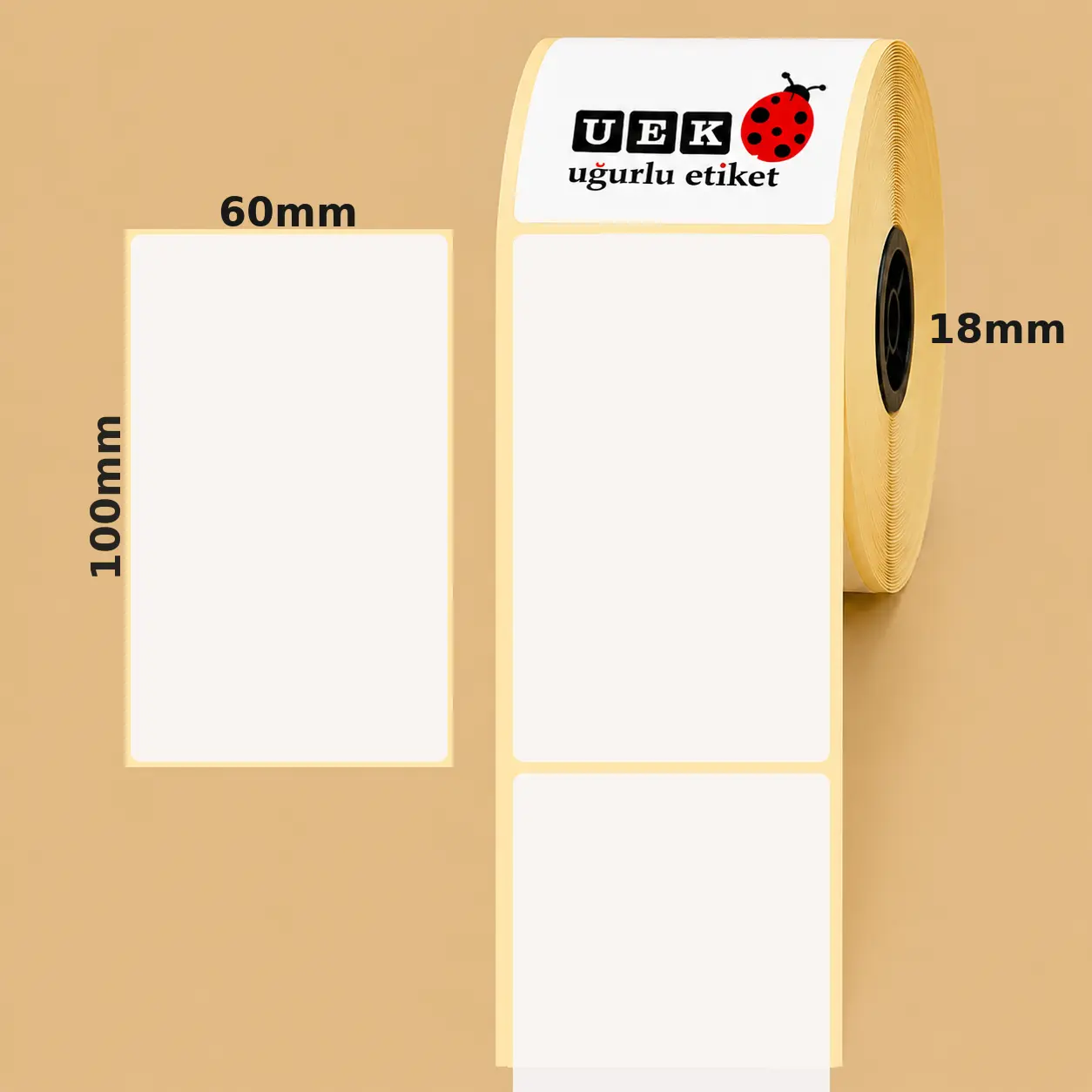 60x100 PP Opak Etiket
