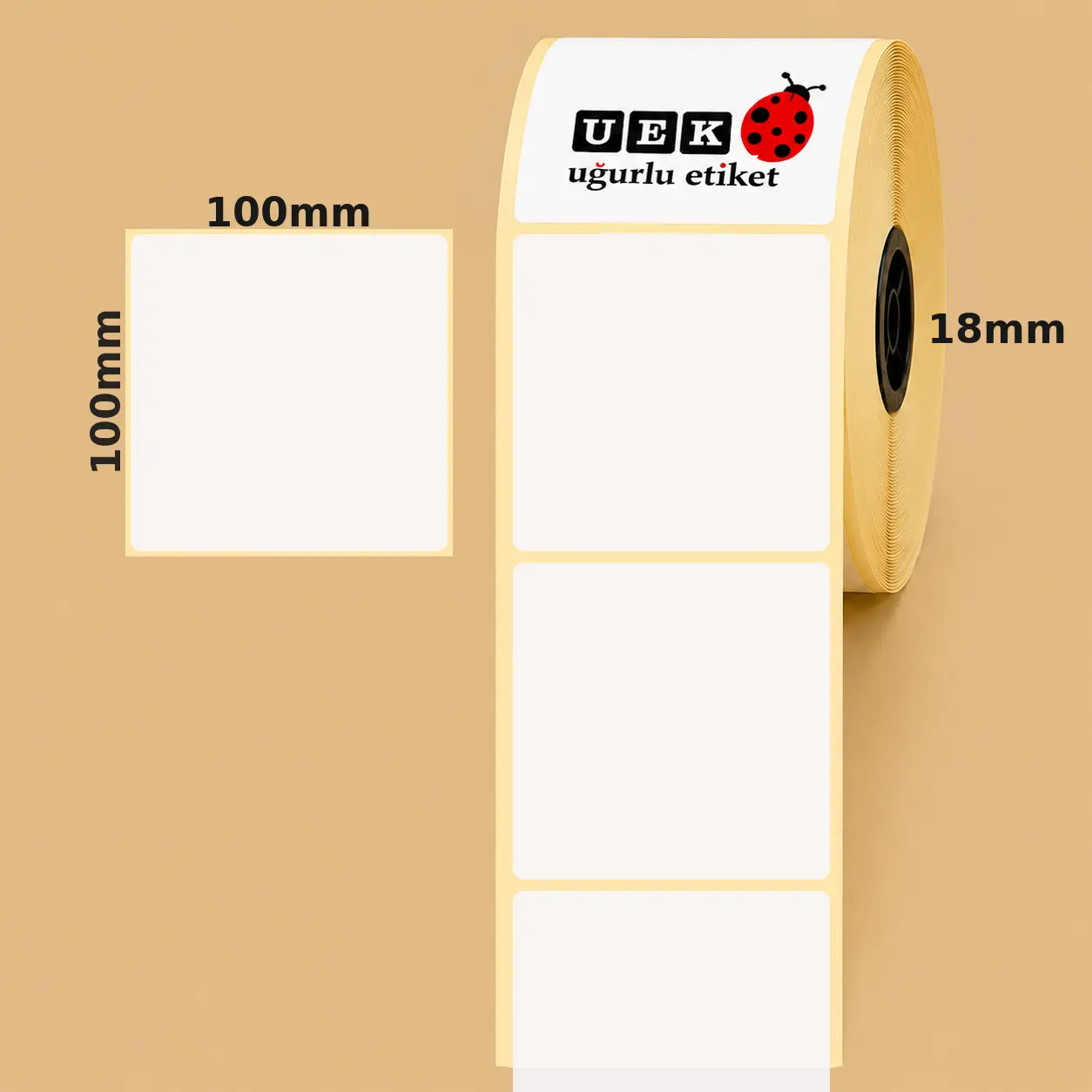 100x100 Vellum Etiket
